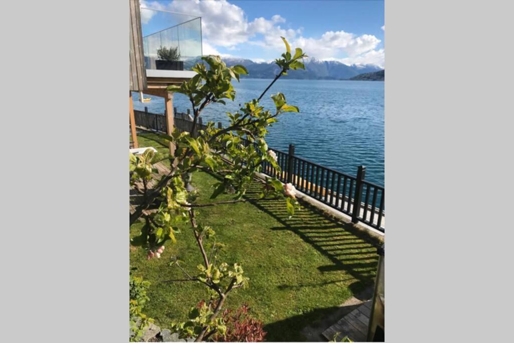Panoramaresort In Hardangerfjorden Leilighet I Sjokanten Ved Hardangerfjorden For 7 Personer Boat , Sauna,Kajak, Sup For Rent Oystese Bagian luar foto